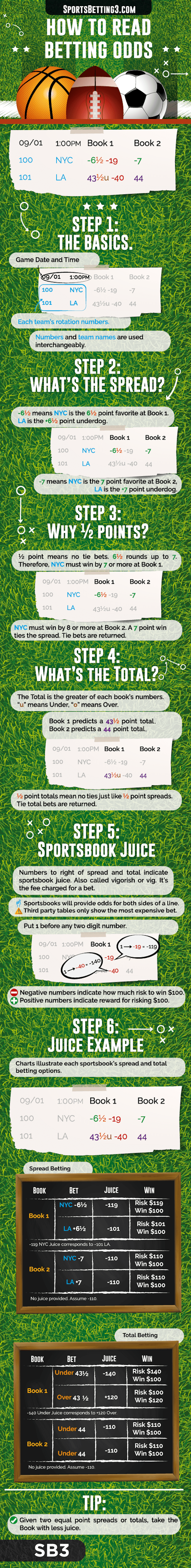 guide to sports betting book