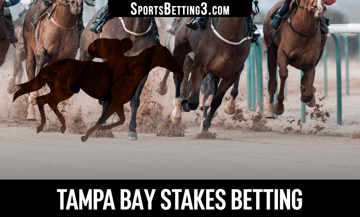 2024 Tampa Bay Stakes Betting