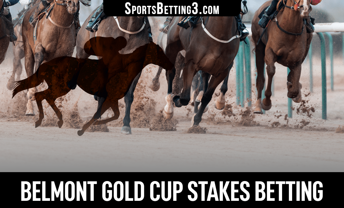 2024 Belmont Gold Cup Stakes Betting